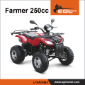 CEE ATV 250CC compete o quadrilátero